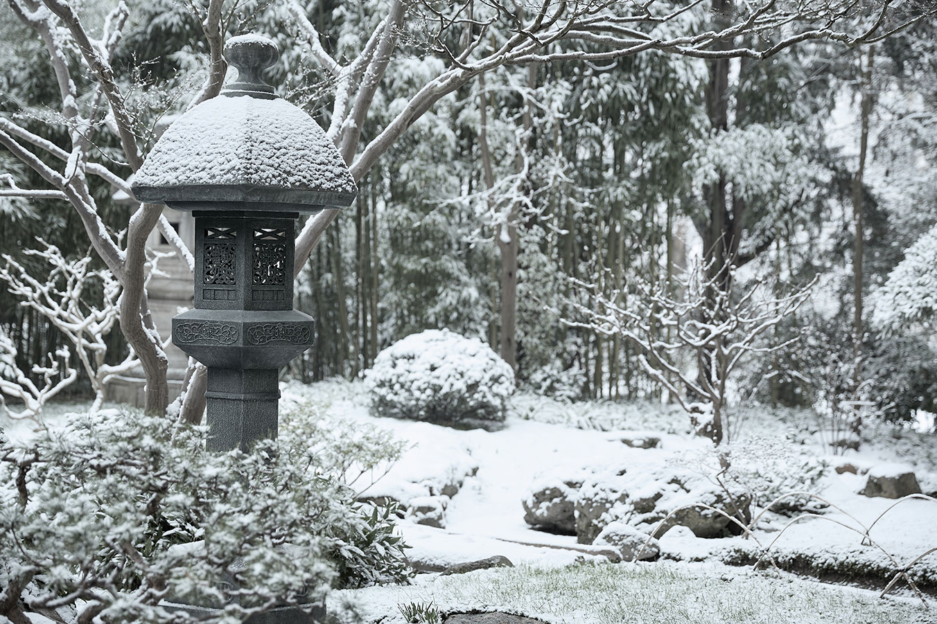 Lanterne dans le village japonais Lanterne_dans_le_village_japonais.jpg