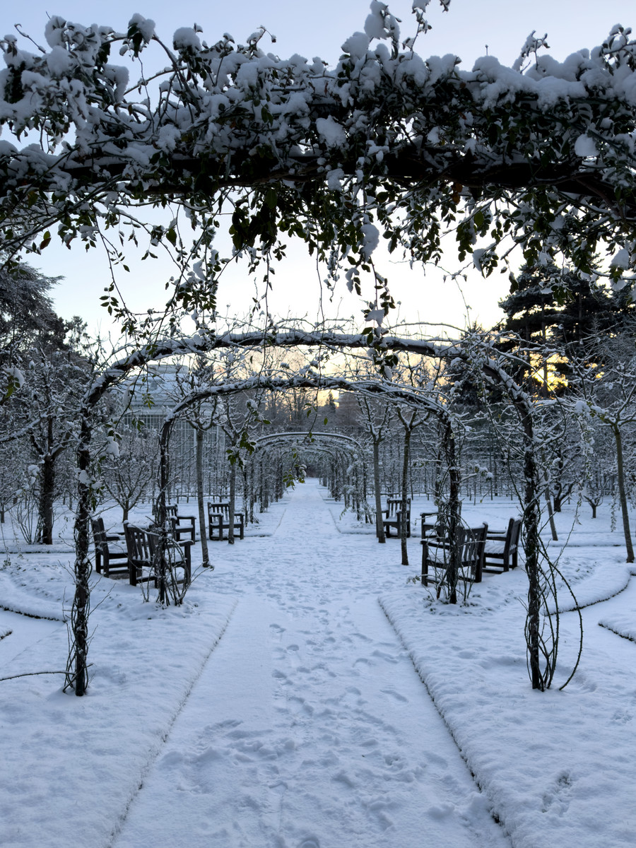 Le verger-roseraie Le_verger-roseraie.jpg